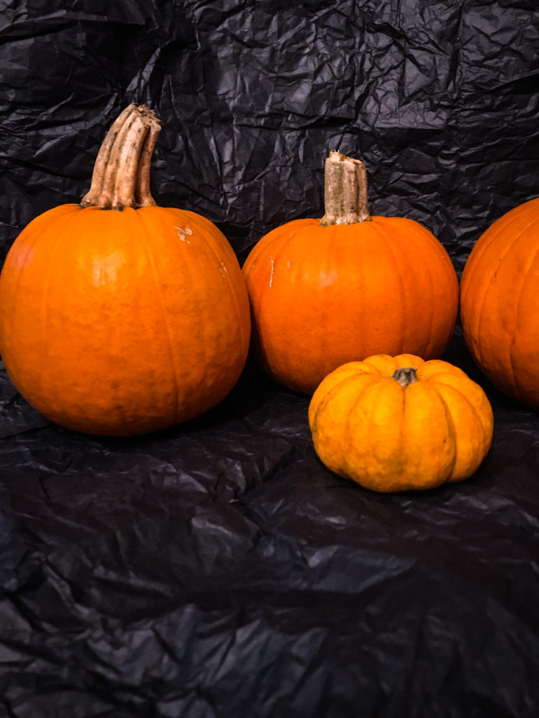 A VARIETY OF PUMPKINS