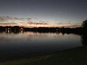 Night time view of the lake